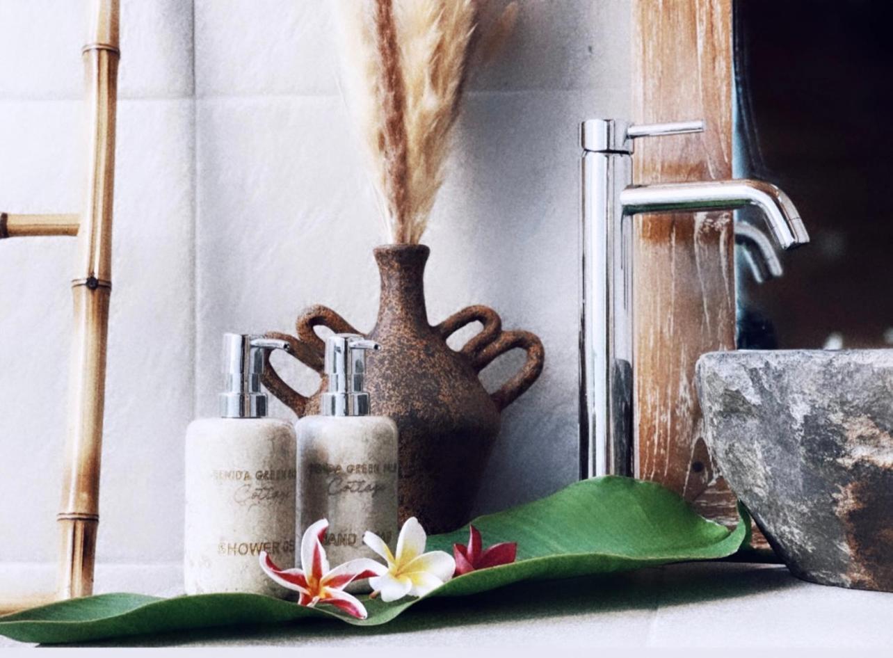 Penida Green Palm Cottage By Bali Cabin Toyapakeh エクステリア 写真
